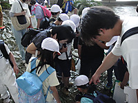 Dsc05449