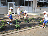Img_0251
