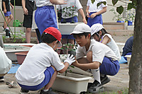 Imgl1124