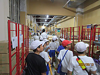 Img_0868