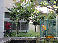 Img_1096