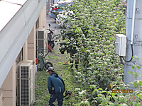 Img_1097