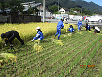 Img_1500