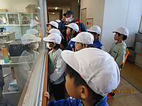 Img_2294