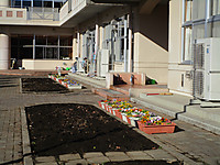 Img_2638