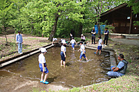 Img_3446