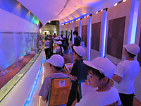 Img_4250