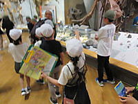 Img_4256