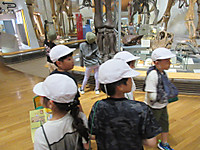Img_4258