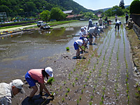 P1170558