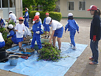P1170579