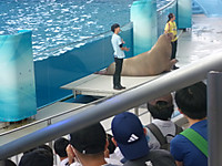 P1170703