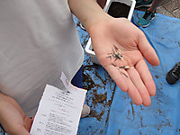 Dsc07101