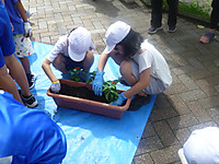 P1170931