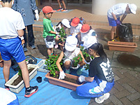 P1170932