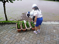 P1170941