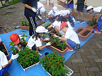 P1170942
