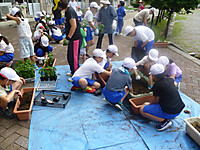 P1170943