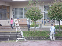 P1180331