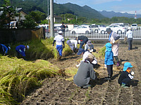 P1180354