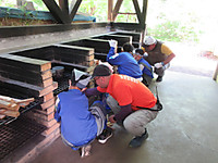 Img_5025
