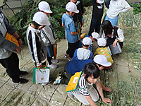 Img_2425