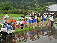 Img_4754 Img_4754