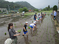 Img_4755 Img_4755