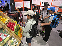 Img_4806 Img_4806