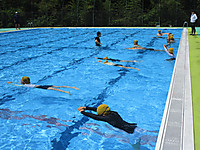 Img_4881 Img_4881