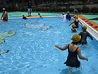 Img_4893 Img_4893