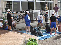 Img_5051 Img_5051