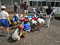 Img_5053 Img_5053
