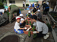 Img_5054 Img_5054