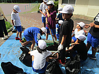 Img_5055 Img_5055