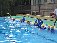 Img_5084 Img_5084