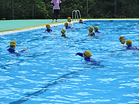 Img_5085 Img_5085