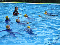 Img_5092 Img_5092