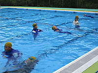 Img_5095 Img_5095