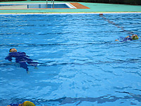 Img_5097 Img_5097