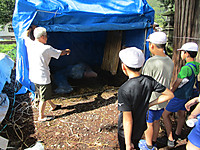 Img_5202 Img_5202