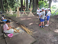 Img_5208 Img_5208