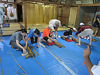 Img_5230 Img_5230