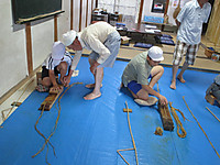 Img_5231 Img_5231