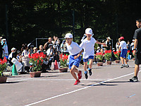 Img_5534