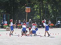 Img_5544