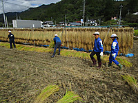 Img_5563