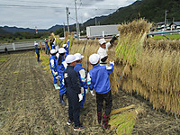 Img_5565