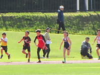 Img_4591 Img_4591