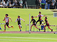 Img_4601 Img_4601
